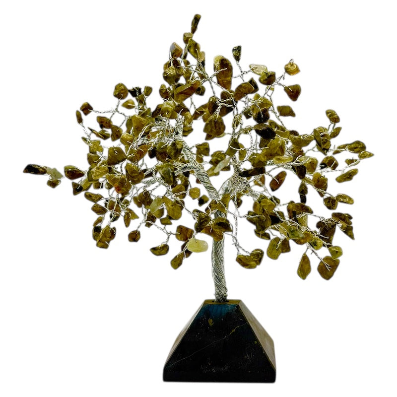 Crystal Tree Black Tourmaline Base 300 Chip