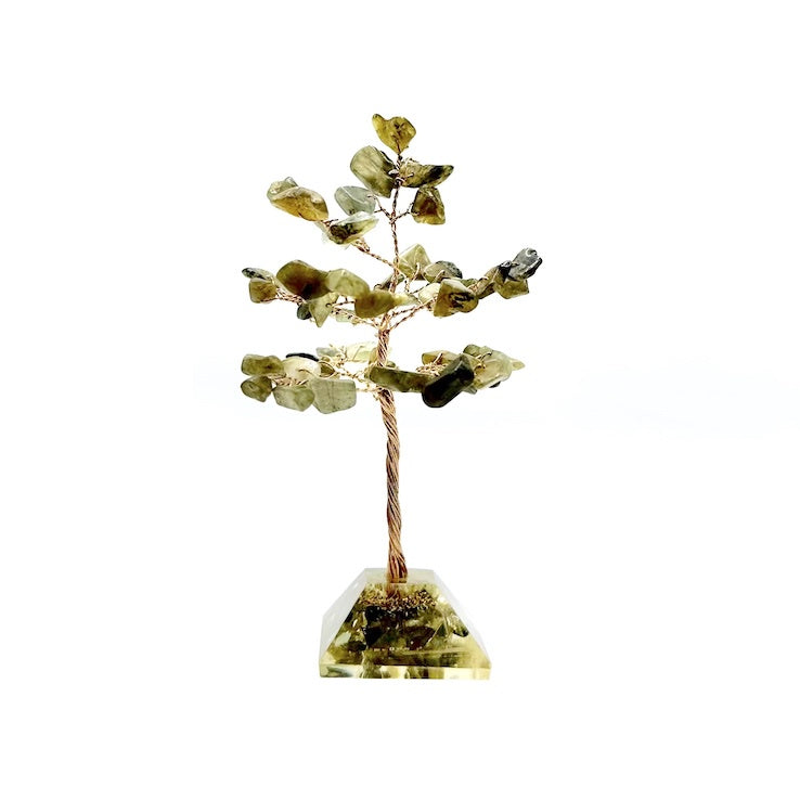 Crystal Tree Labradorite Orgonite Base 50 Chip