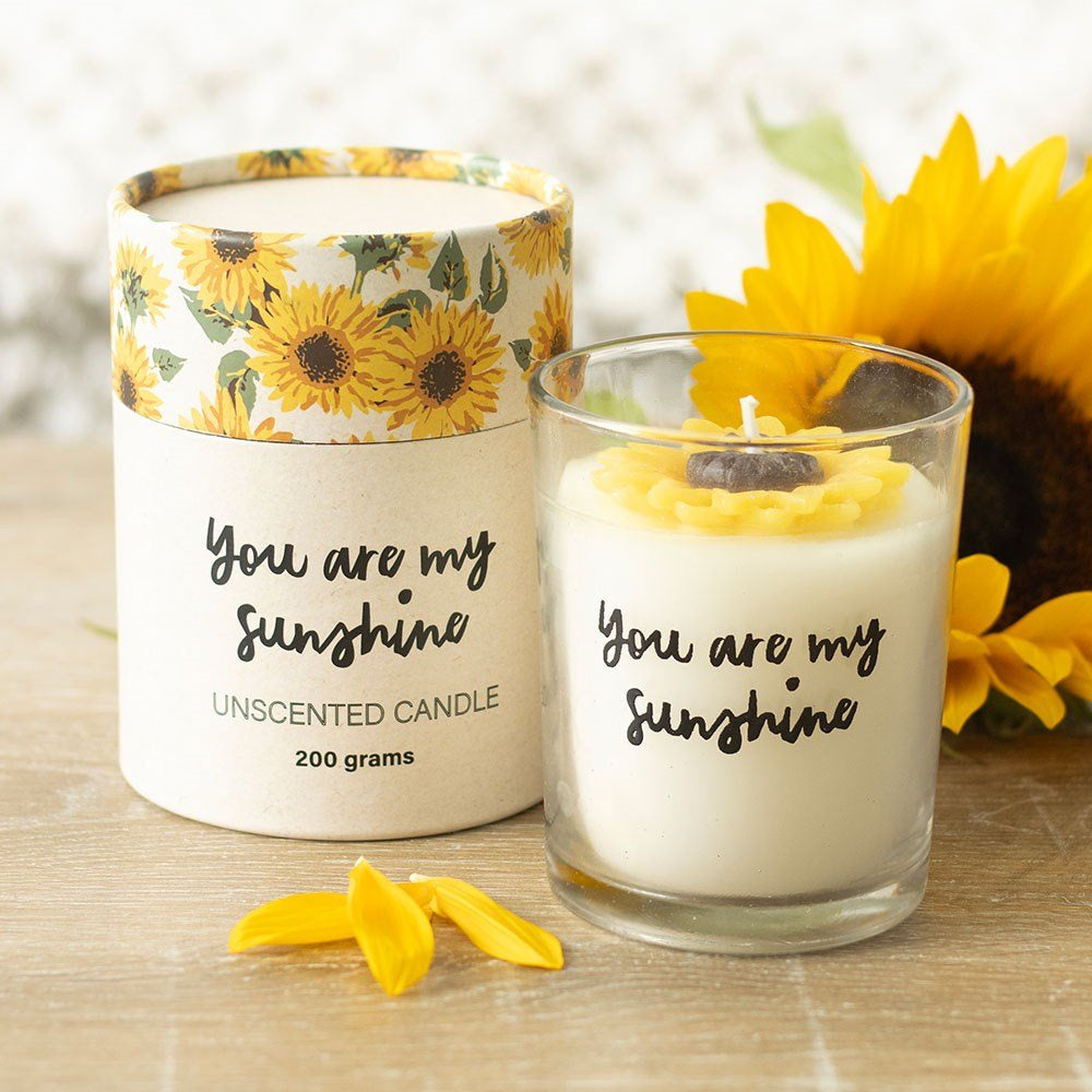 Candle You Are My Sunshine 3D