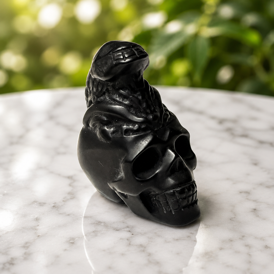 Skull with Lizard Black Obsidian Crystal Carving | Carpe Diem With Remi