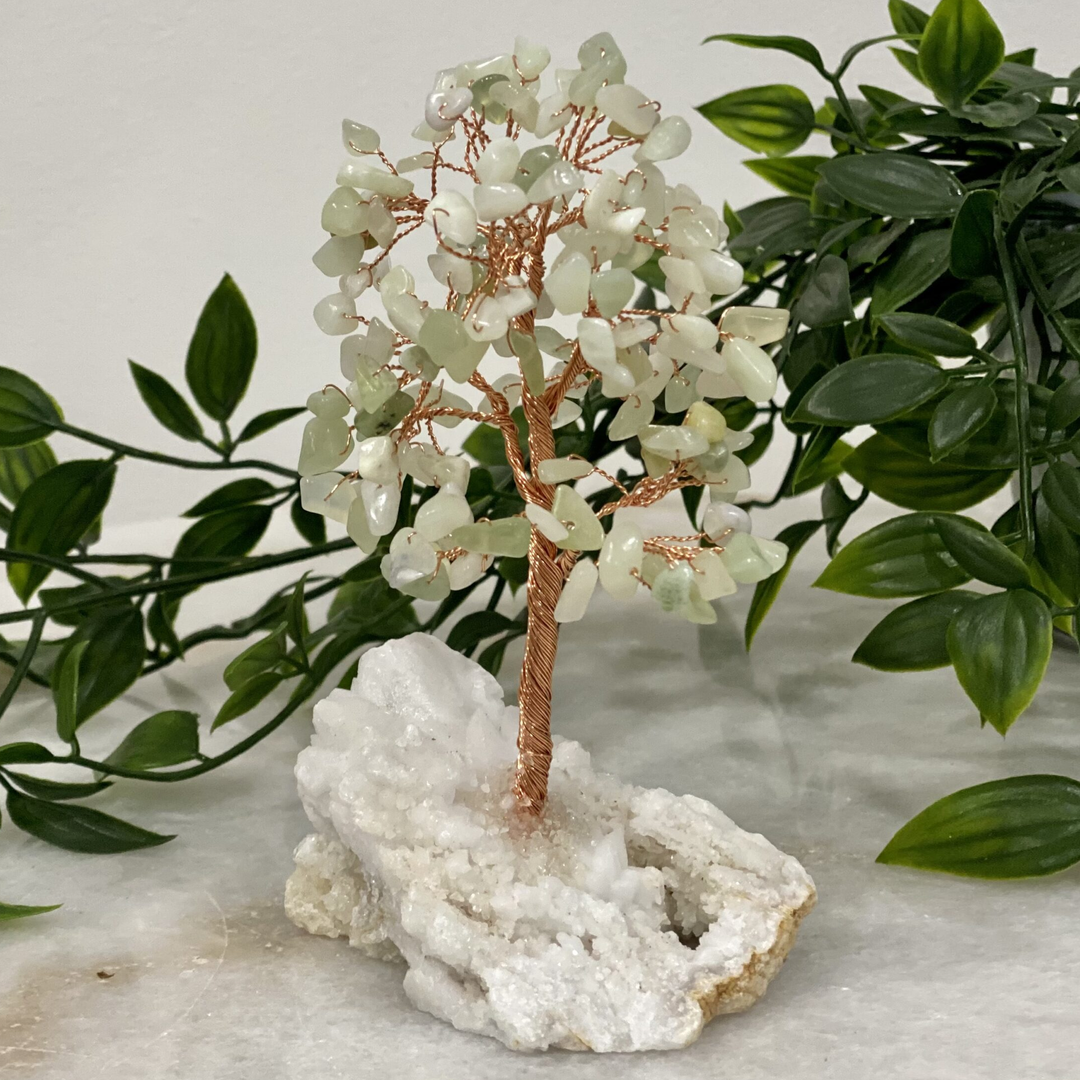 Crystal Tree Jade 15 cm
