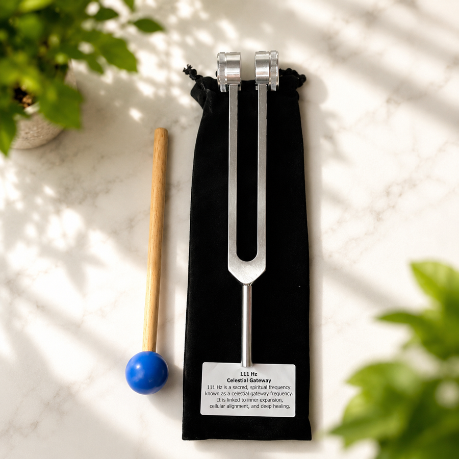 Tuning Fork 111 Hz Weighted | Carpe Diem with Remi