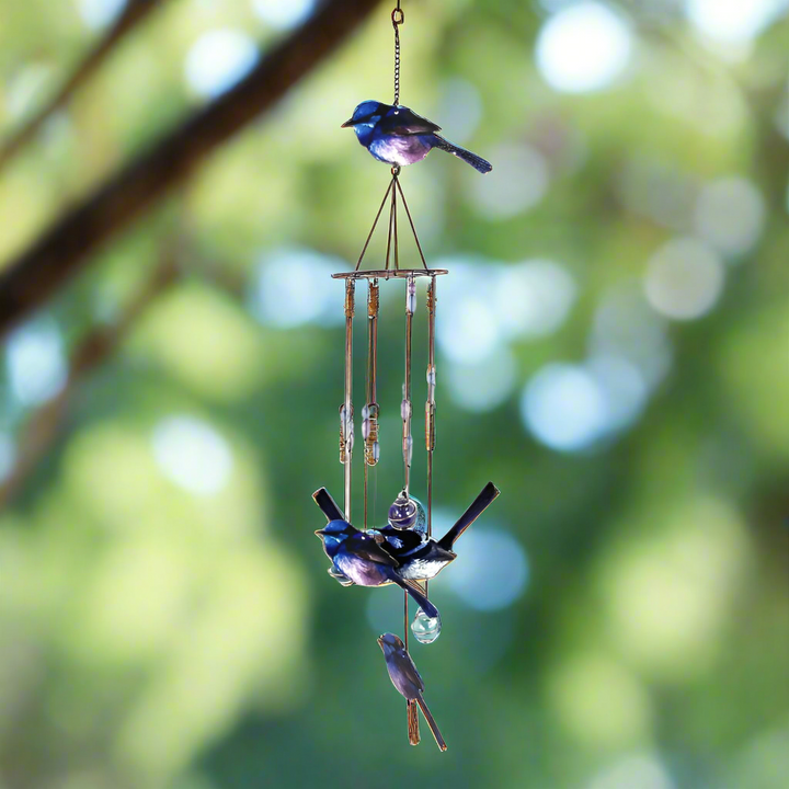 Windchime Blue Wren