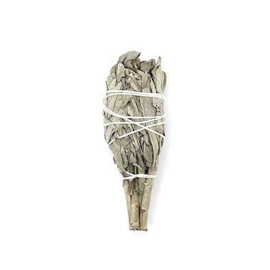 Smudge Stick Torch 10 cm White Sage | Carpe Diem with Remi
