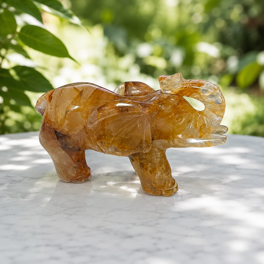 Elephant Golden Healer | Carpe Diem With Remi