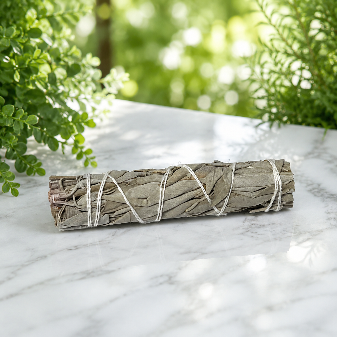 Smudge Stick White Sage Mini 10 cm