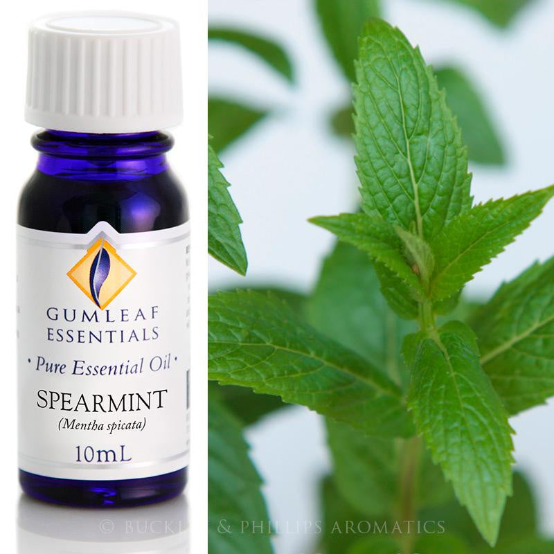 Spearmint Essential Oil Gumleaf 10 ml | Carpe Diem With Remi