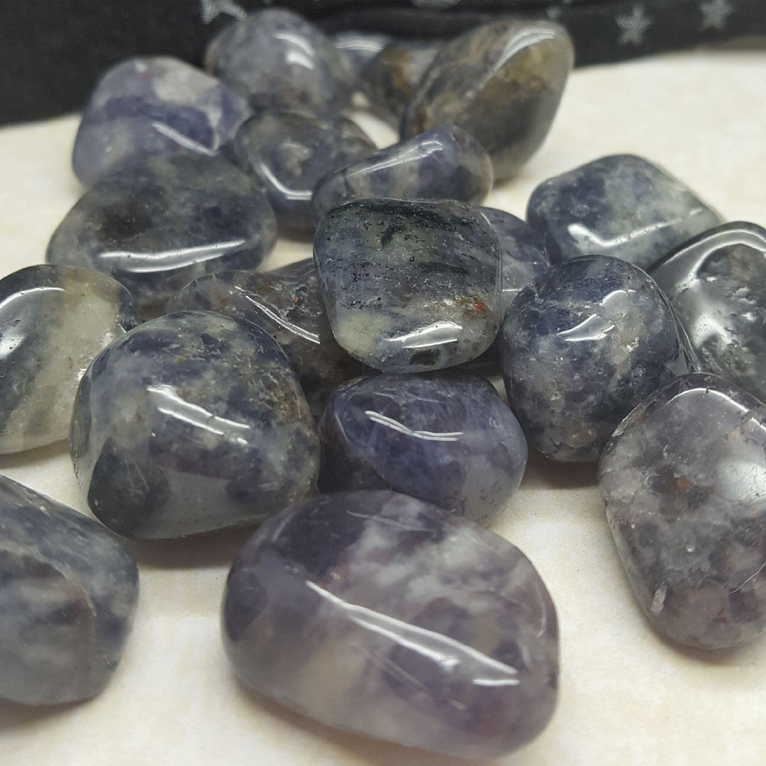 Iolite Tumbled Leadership | Carpe Diem with Remi