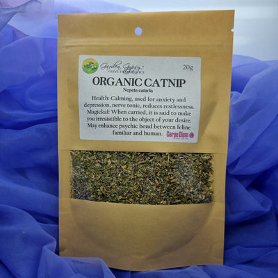 Herb Catnip Organic 20g | Carpe Diem With Remi