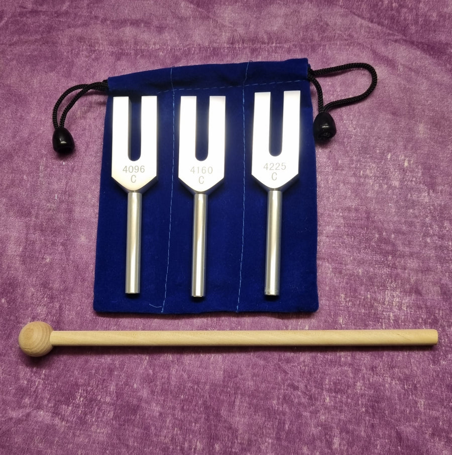 Angel Tuners Tuning Forks Set 3 | Carpe Diem With Remi