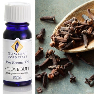 Clove Bud Essential Oil 10 ml | Carpe Diem with Remi