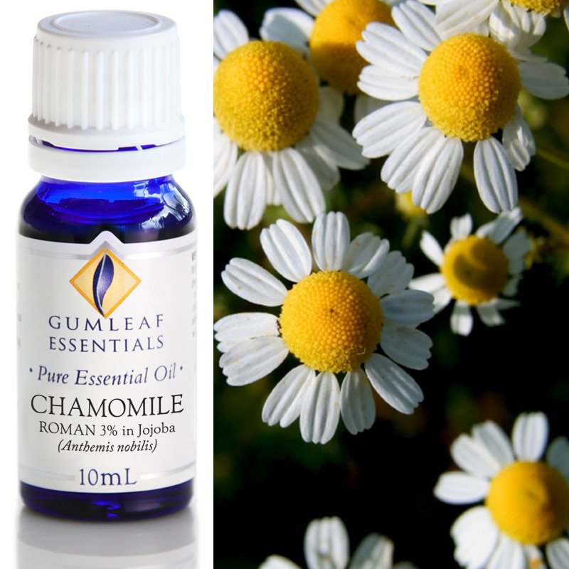 Chamomile Roman (3% In Jojoba) Essential Oil | Carpe Diem With Remi