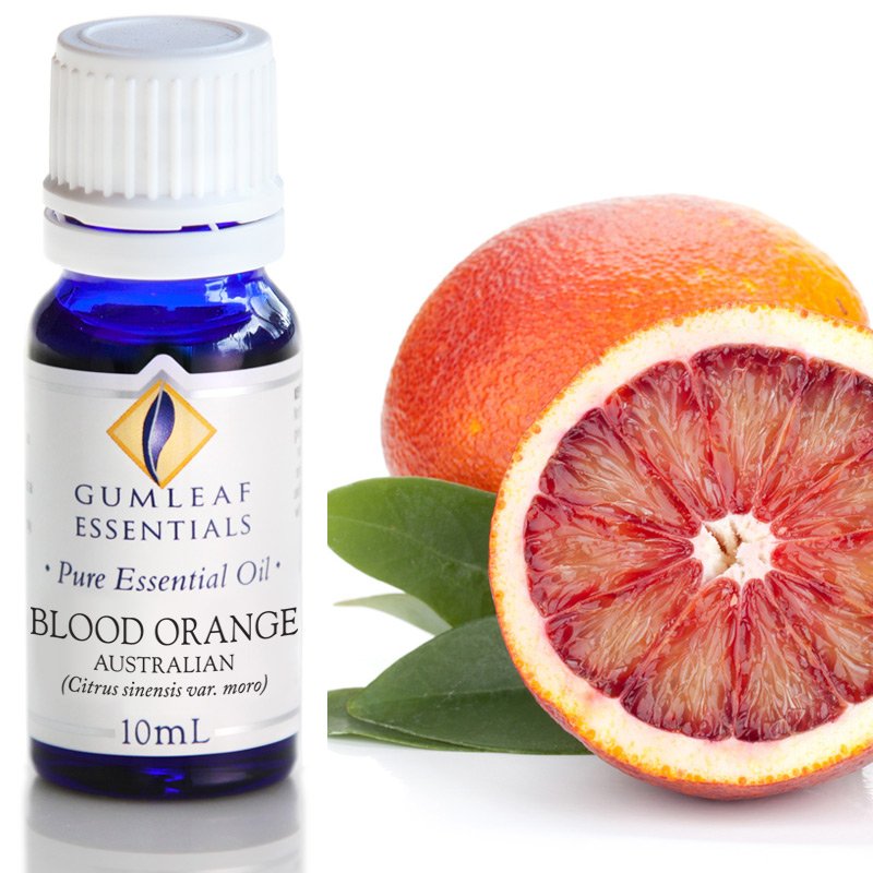 Blood Orange Essential Oil Gumleaf 10ml | Carpe Diem With Remi