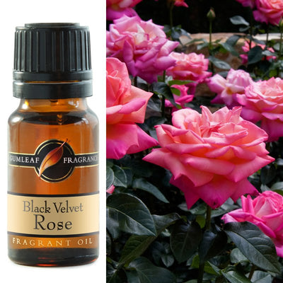 Fragrant Oil Gumleaf Black Velvet Rose | Carpe Diem With Remi