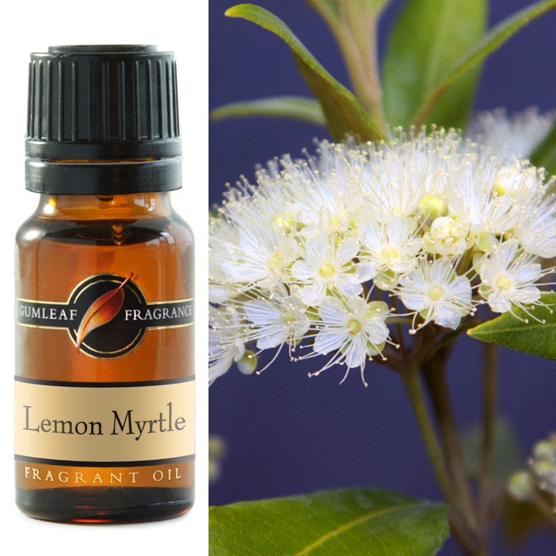 Fragrant Oil Lemon Myrtle Gumleaf
