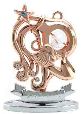 Zodiac Figurine Rose Gold with Crystal Aquarius | Carpe Diem With Remi