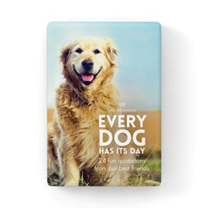 Every Dog Has Its Day Affirmation Cards | Carpe Diem with Remi