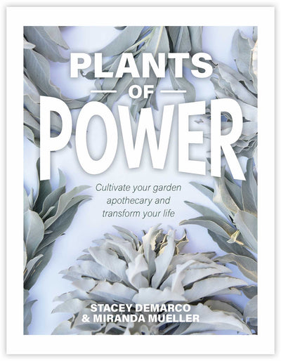 Plants of Power | Carpe Diem With Remi