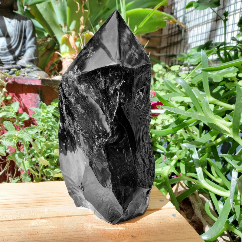 Generator Black Obsidian Polished Top 21.2 cm | Carpe Diem With Remi
