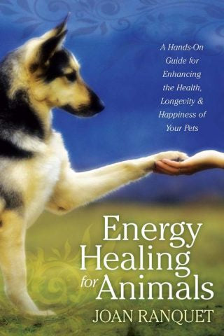 Energy Healing For Animals | Carpe Diem With Remi Port Adelaide