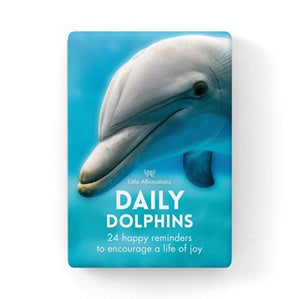 Daily Dolphins Little Affirmations Cards | Carpe Diem with Remi