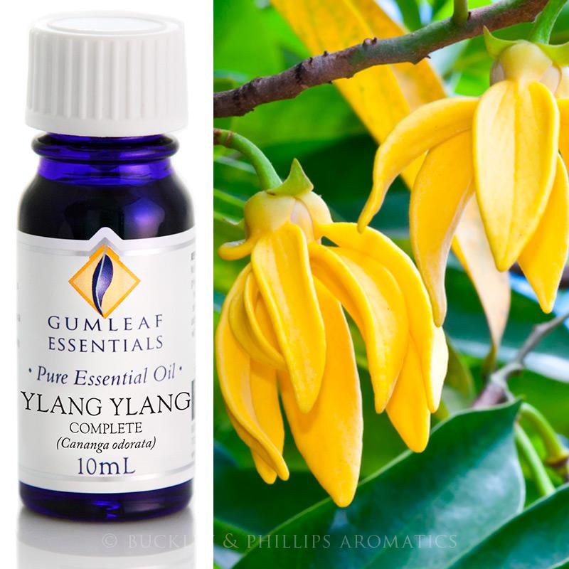 Ylang Ylang Essential Oil Gumleaf 10 ml | Carpe Diem With Remi