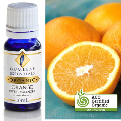 Orange Organic Essential Oil Gumleaf | Carpe Diem With Remi