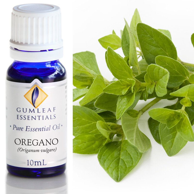 Oregano Essential Oil Gumleaf 10ml | Carpe Diem With Remi
