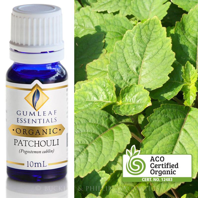 Patchouli Organic Essential Oil Gumleaf | Carpe Diem With Remi