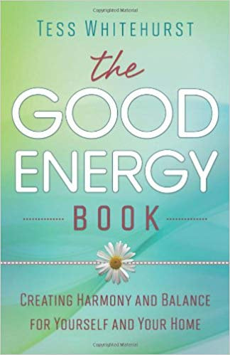The Good Energy Book | Carpe Diem With Remi
