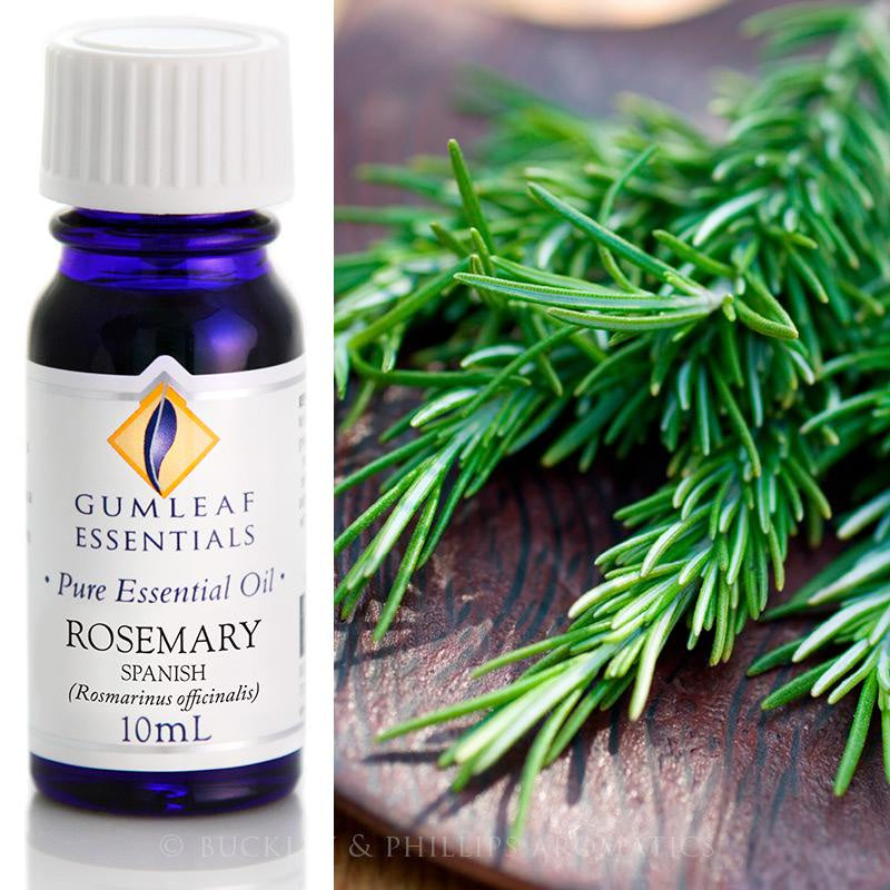 Rosemary Essential Oil Gumleaf 10 ml | Carpe Diem With Remi