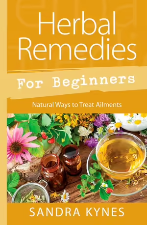 Herbal Remedies for Beginners | Carpe Diem With Remi