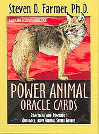 Power Animal Oracle | Carpe Diem with Remi
