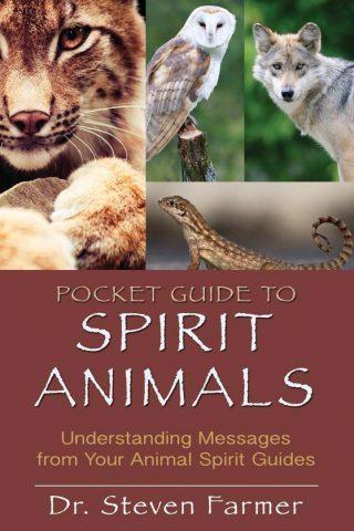 Pocket Guide to Spirit Animals | Carpe Diem With Remi Port Adelaide