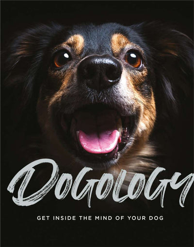 Dogology | Carpe Diem With Remi
