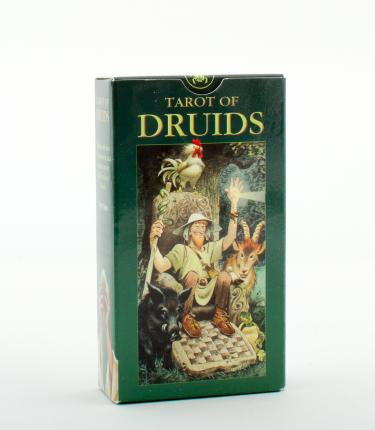 Tarot of Druids | Carpe Diem With Remi
