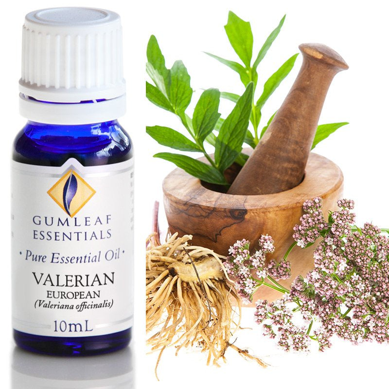Valerian European Essential Oil | Carpe Diem With Remi