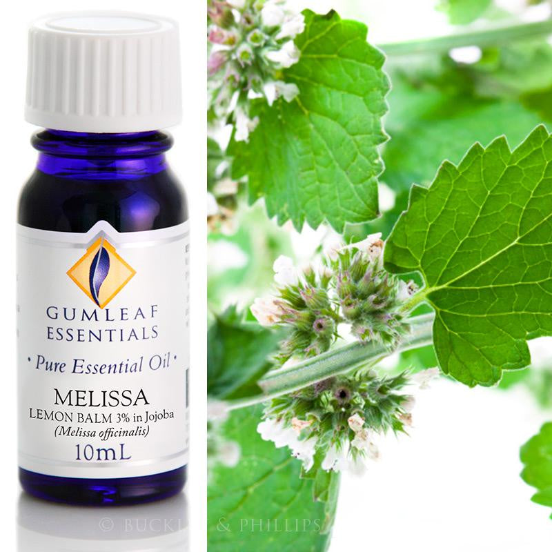 Melissa Essential Oil Gumleaf 10 ml | Carpe Diem With Remi