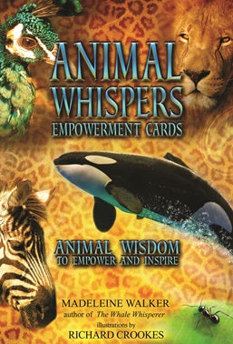 Animal Whispers Empowerment Cards - Carpe Diem With Remi
