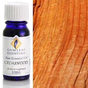 Cedarwood Essential Oil Gumleaf | Carpe Diem with Remi