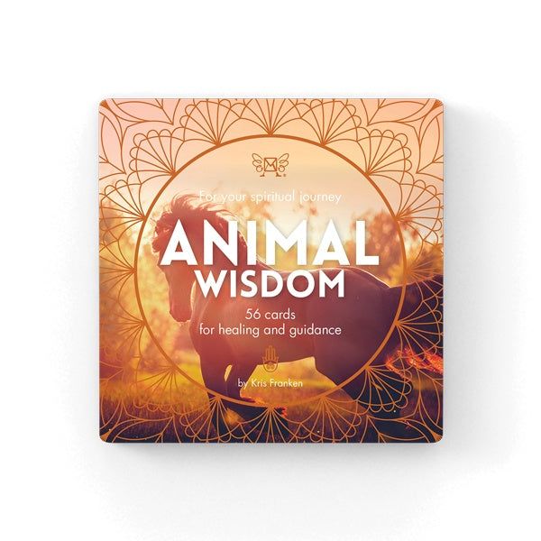 Animal Wisdom Insight Cards | Carpe Diem With Remi