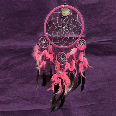 Dreamcatcher Pink and Black Feathers 25 cm | Carpe Diem With Remi