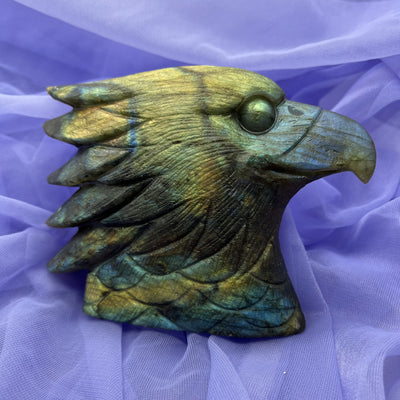 Eagle Head Labradorite Carving Small | Carpe Diem With Remi