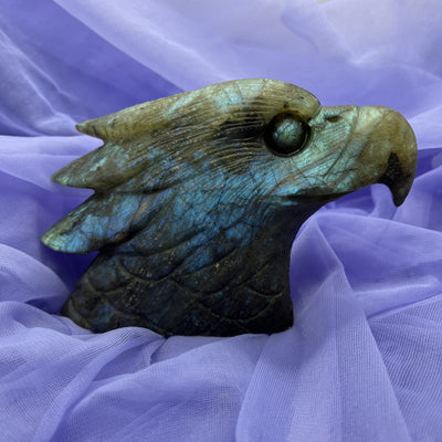 Eagle Head Labradorite Carving | Carpe Diem With Remi