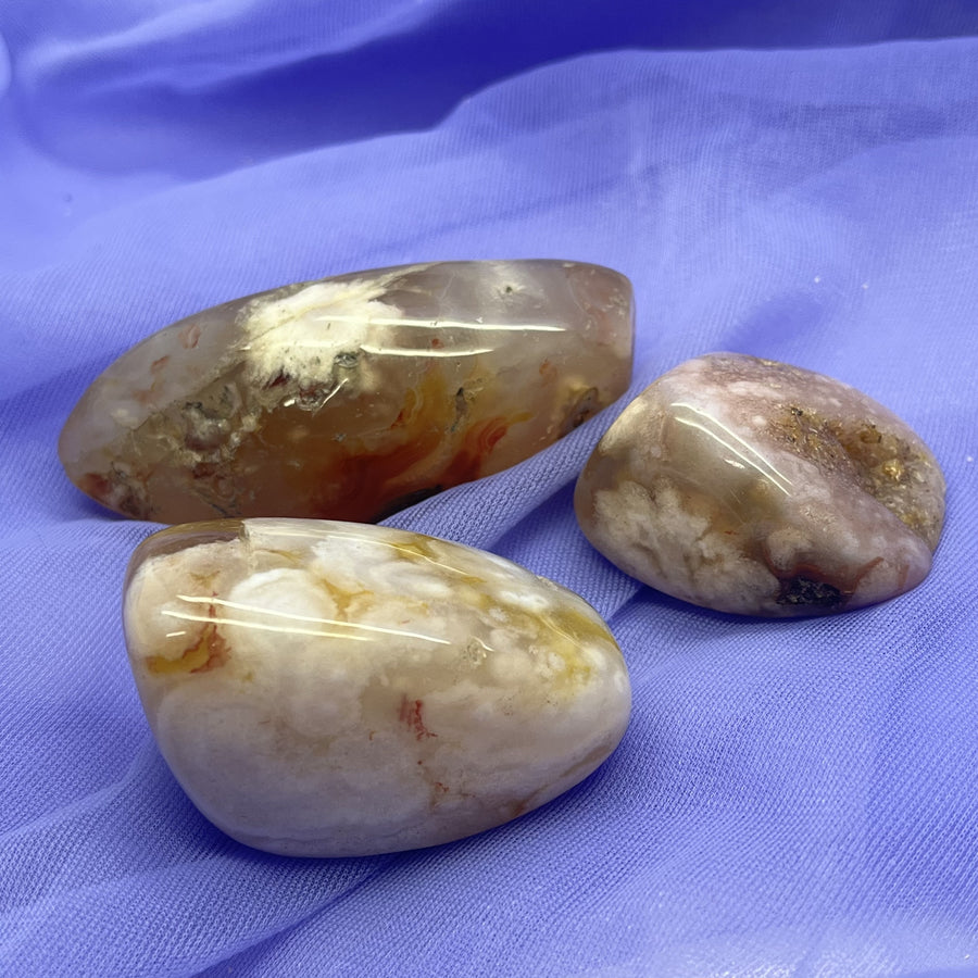 Carnelian Flower Agate Large Tumbled Assorted | Carpe Diem With Remi