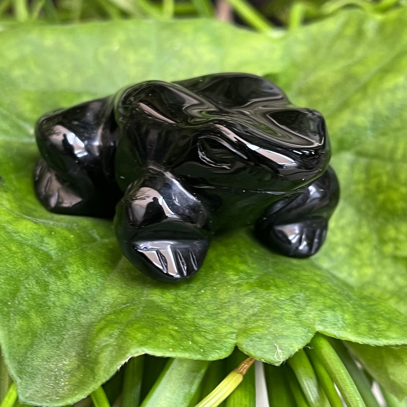 Frog Black Obsidian Carving 4.7 cm | Carpe Diem With Remi