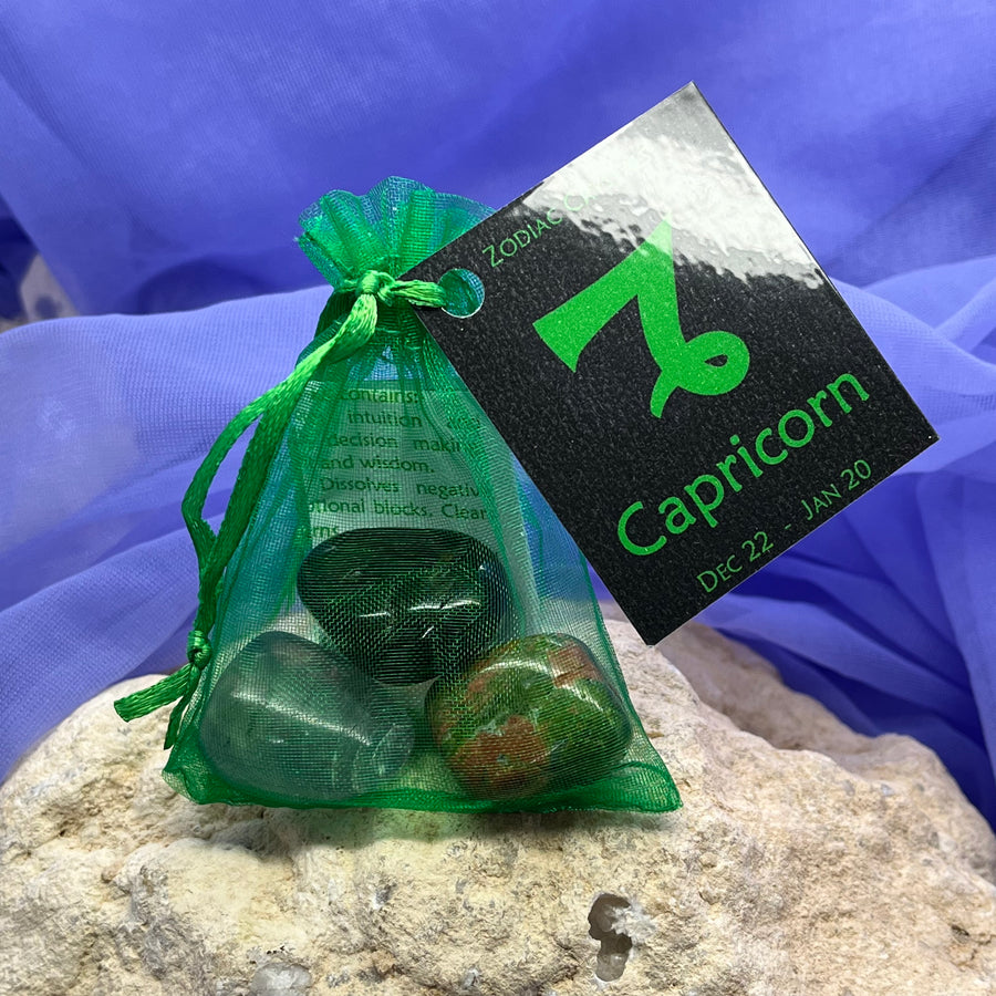 Capricorn Wish Kit | Carpe Diem With Remi