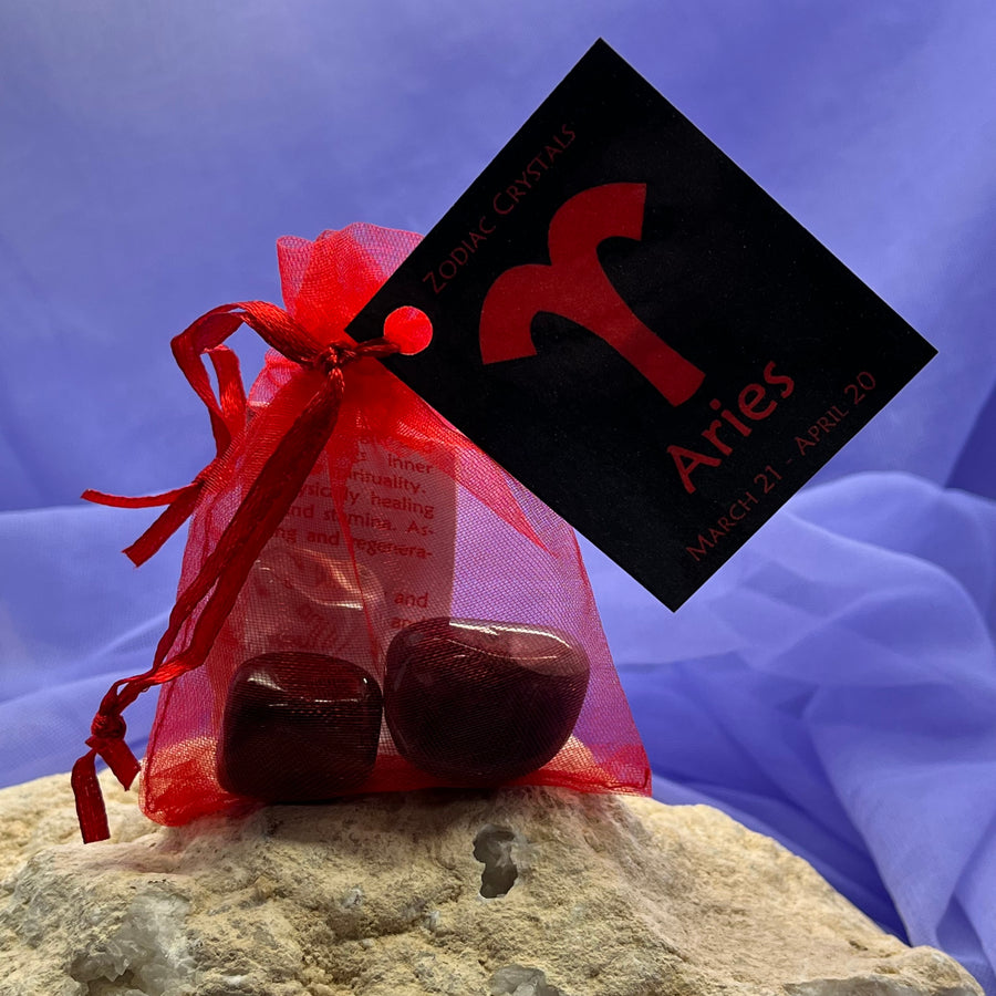 Aries Wish Kit | Carpe Diem With Remi