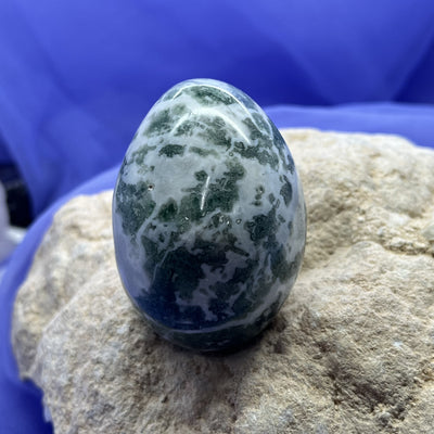 Egg Tree Agate Egg 5.2 cm | Carpe Diem With Remi