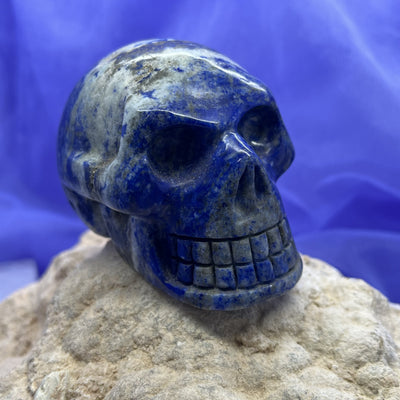 Lapis Lazuli Skull 7.4 x 4.9 cm | Carpe Diem With Remi